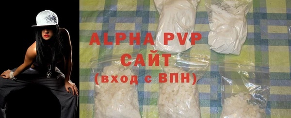 PSILOCYBIN Елабуга