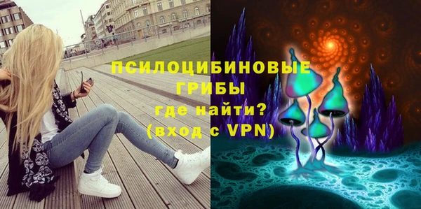 герыч Ельня