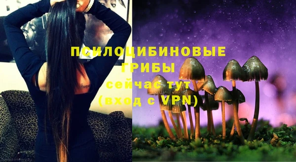 PSILOCYBIN Елабуга