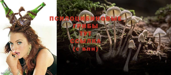 герыч Ельня