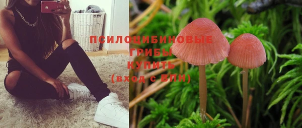 мдма Елизово