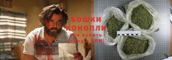 PSILOCYBIN Елабуга
